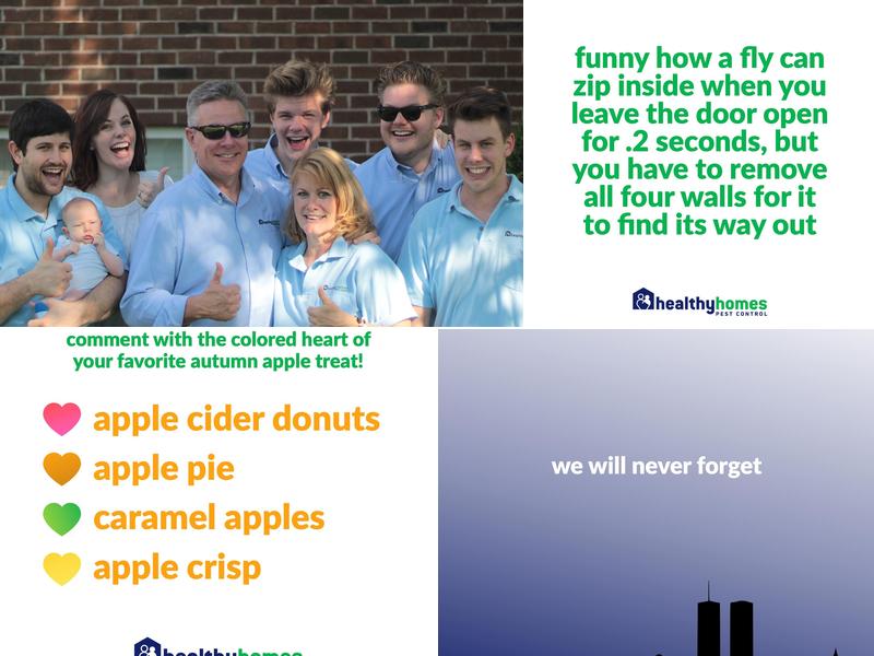 Healthy Homes Pest Control