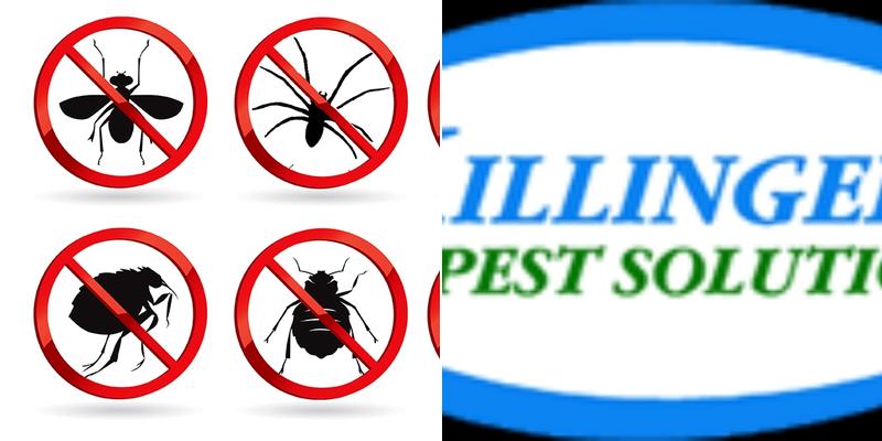 Killinger Pest Solutions