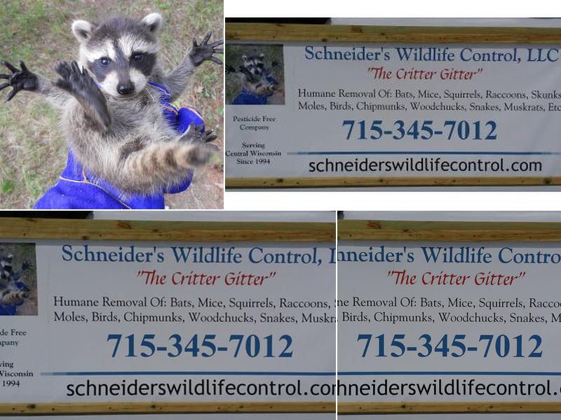 Schneider's Wildlife Control LLC