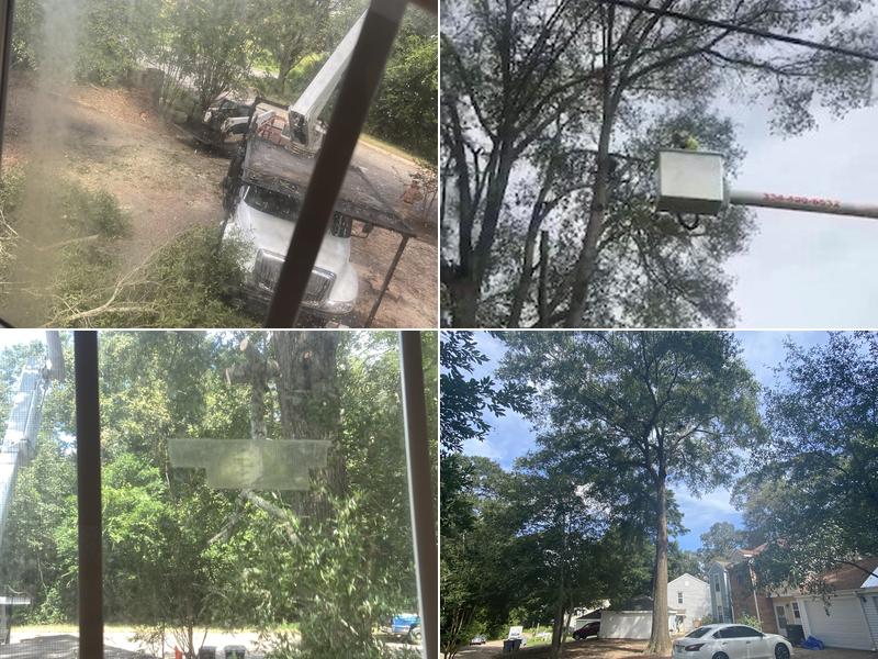 Parrish Tree Service