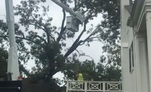Parrish Tree Service