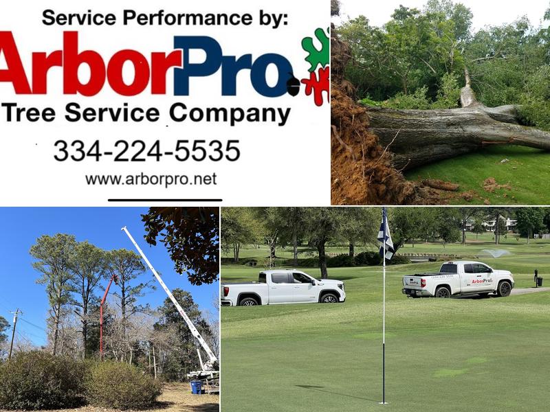 Arbor Pro Tree Service Company