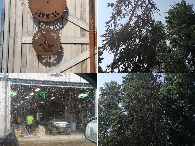 Eager Beavers Tree Services