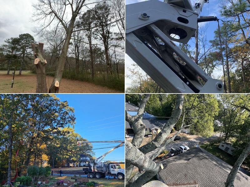 Gray's Tree Services