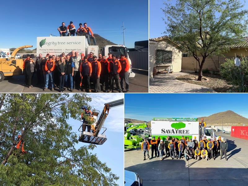 SavATree - Tree Service & Lawn Care