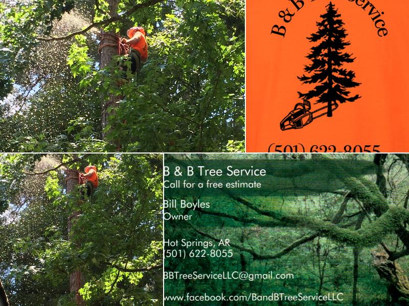 B & B Tree Service LLC