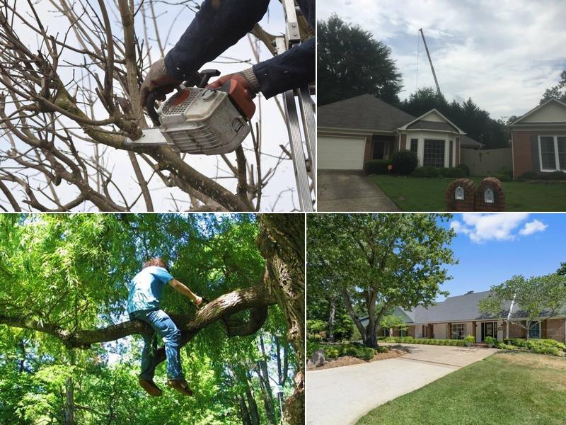 Stonewall Tree Service Fayetteville
