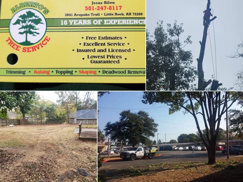 Alberto s' tree service