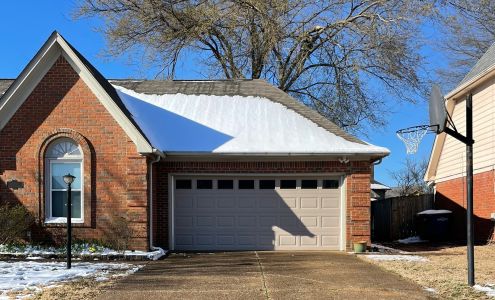 Real Tree Pros, LLC - Tree Service