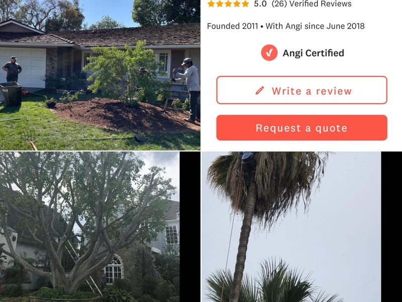 J. Lopez Tree Service