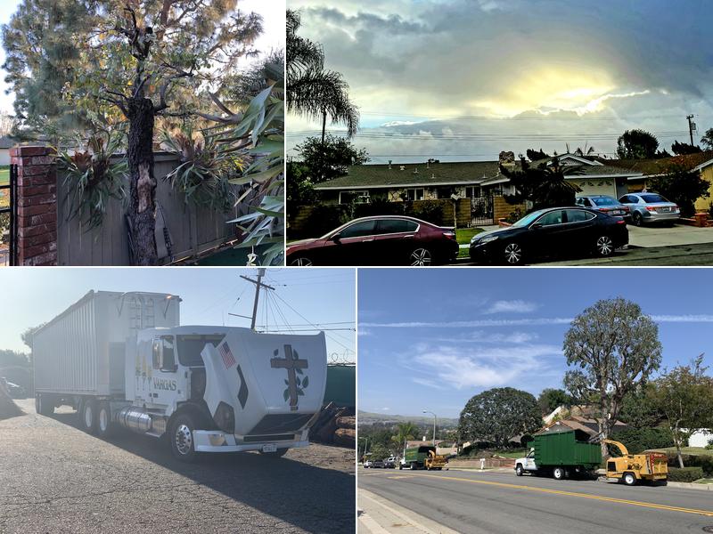 Vargas Tree Services Inc