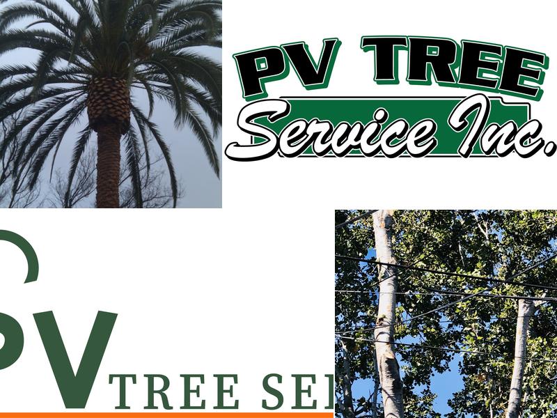 PV Tree Service, Inc.