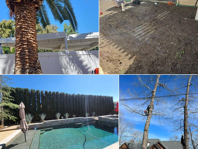 Andre Tree Services