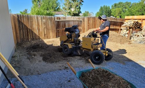 Russell's Tree Service 3125 Snowberry St, Silver Springs Nevada 89429