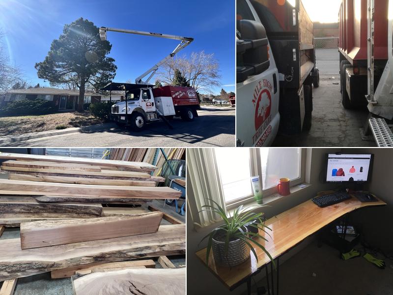 Mile High Tree Care Inc