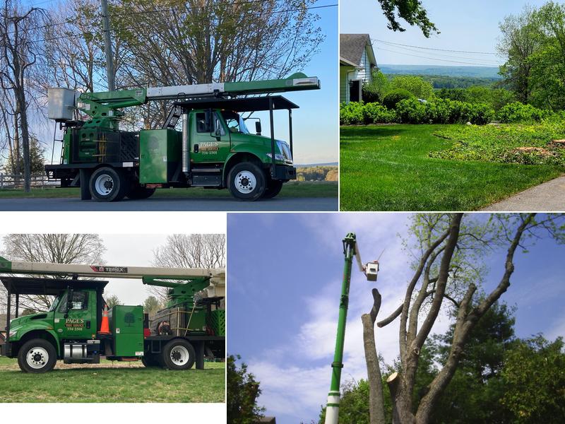 Page's Tree Service LLC