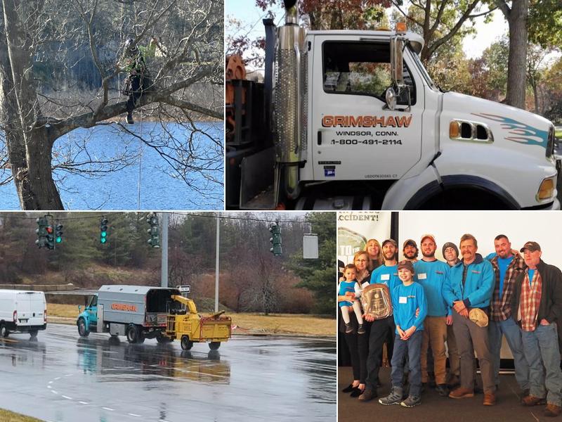 Grimshaw Tree Services & Nursery Co