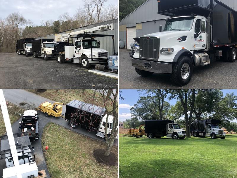 Boswell's Tree Services