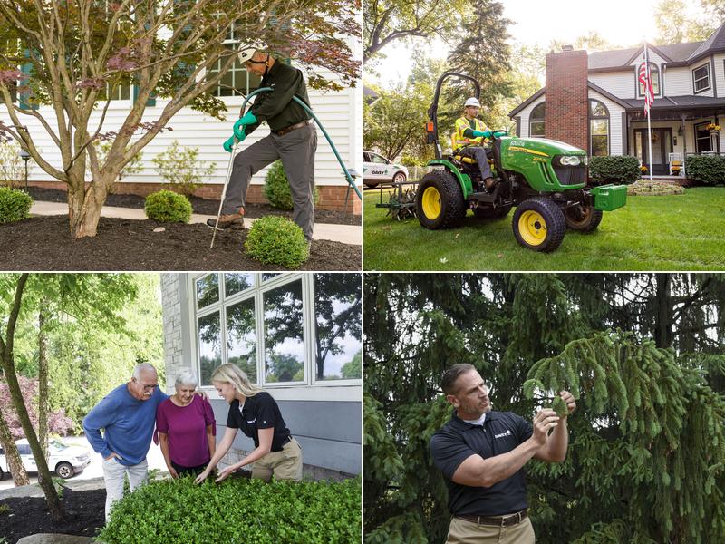 The Davey Tree Expert Company