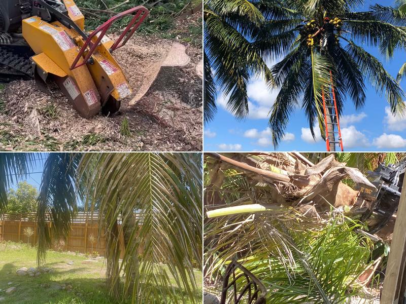 Clover Tree Service Corp