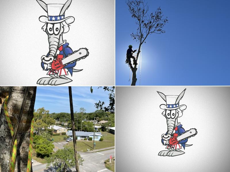 Aardvark Tree Service