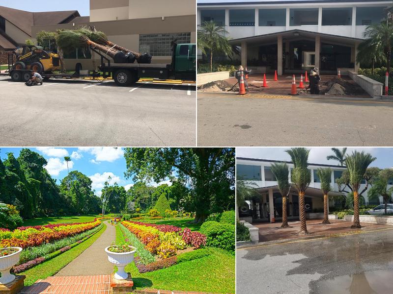 JD Boyd Tree and Lawn LLC