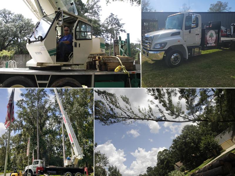 Big Bend Tree Service LLC