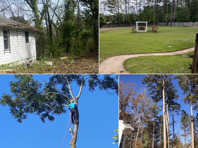 3Climbers Tree Service LLC