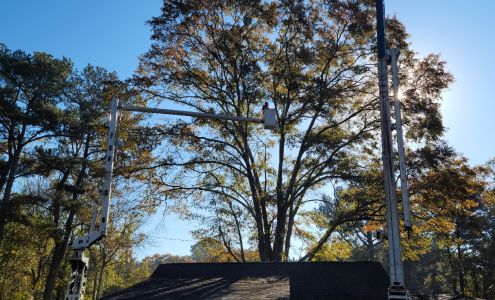 A&C Tree 4248 GA-212, Covington Georgia 30016