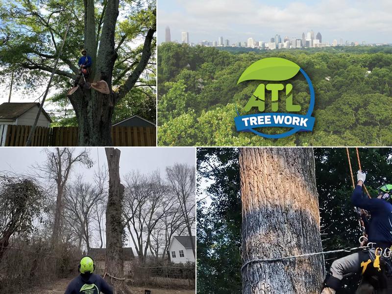 ATL Tree Work