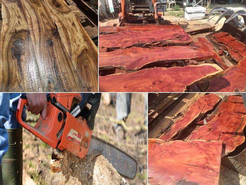 Craig's Tree Service