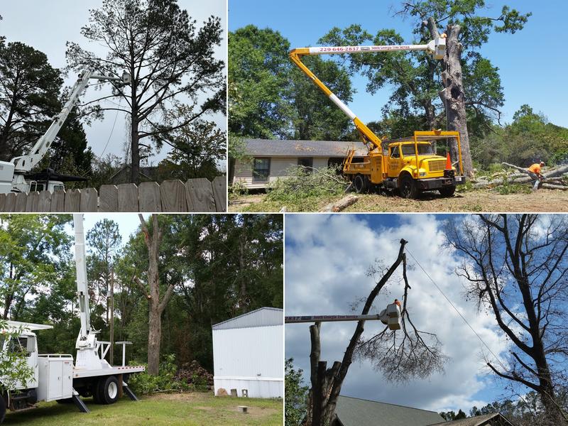 South Georgia Tree Service