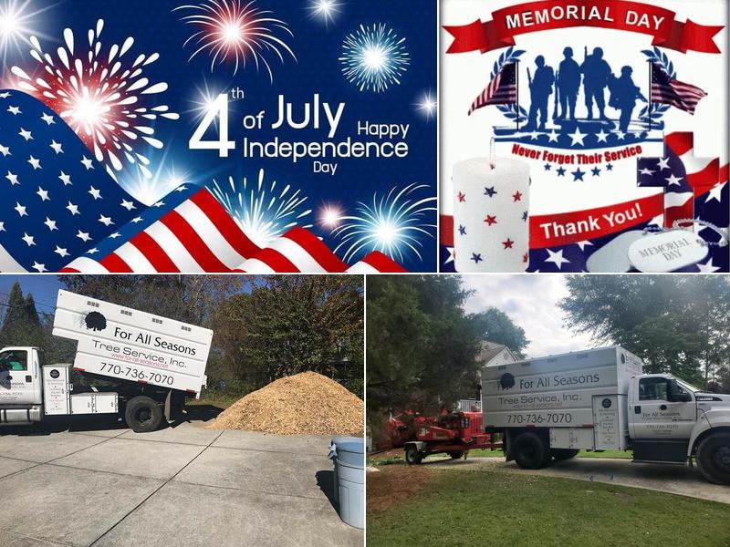 For All Seasons Tree Services