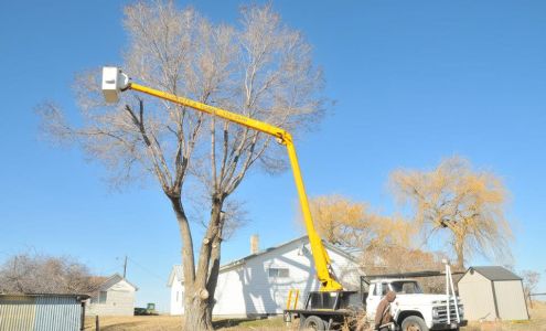 Roberts & Son's Tree Services Inc