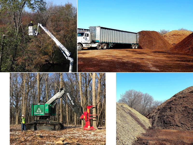 Clean Cut Tree Service