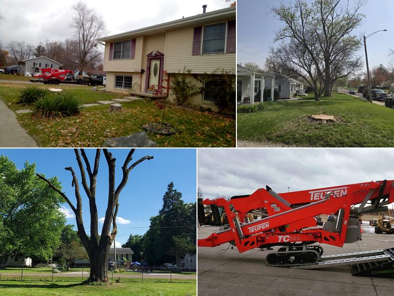 Aim To Tame Tree Service