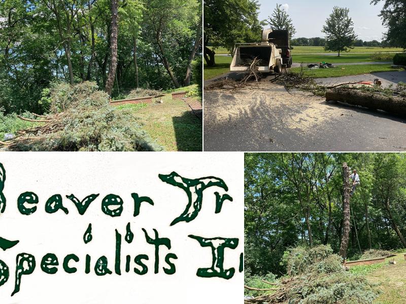 Beaver Tree Specialists, Inc.