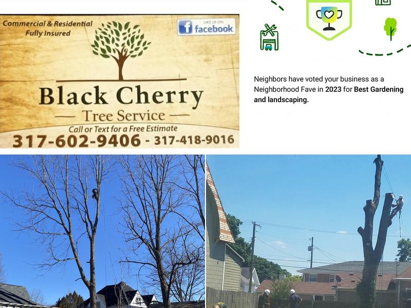 Black Cherry Tree Service