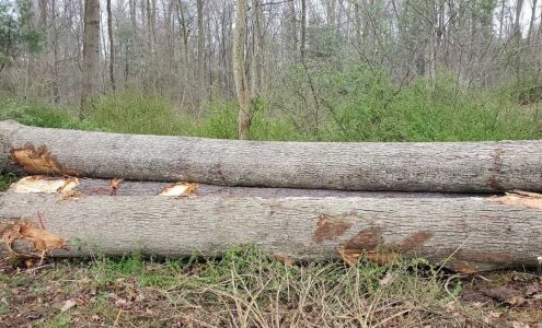 Schwanke's logging/tree services Morocco