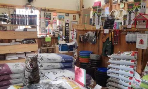 Caroline Feed Store Ltd. Caroline