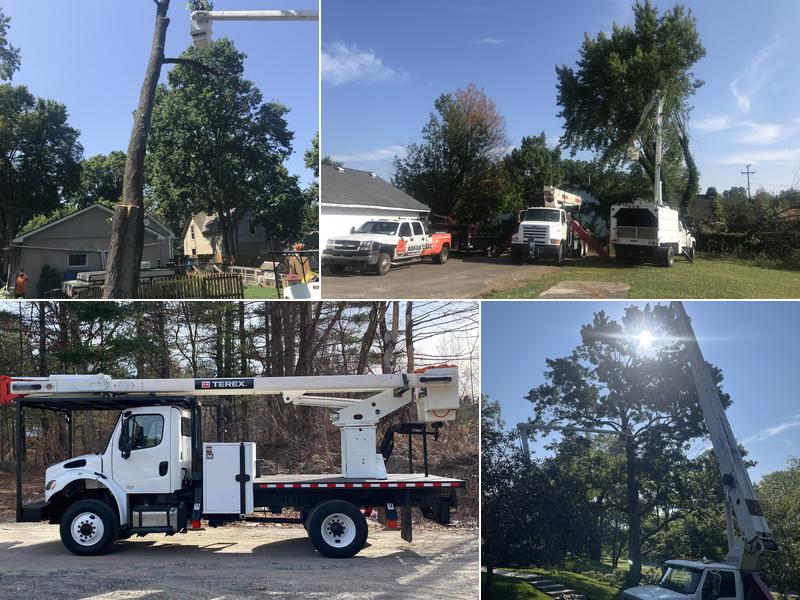 Anderson Arbor Care Inc