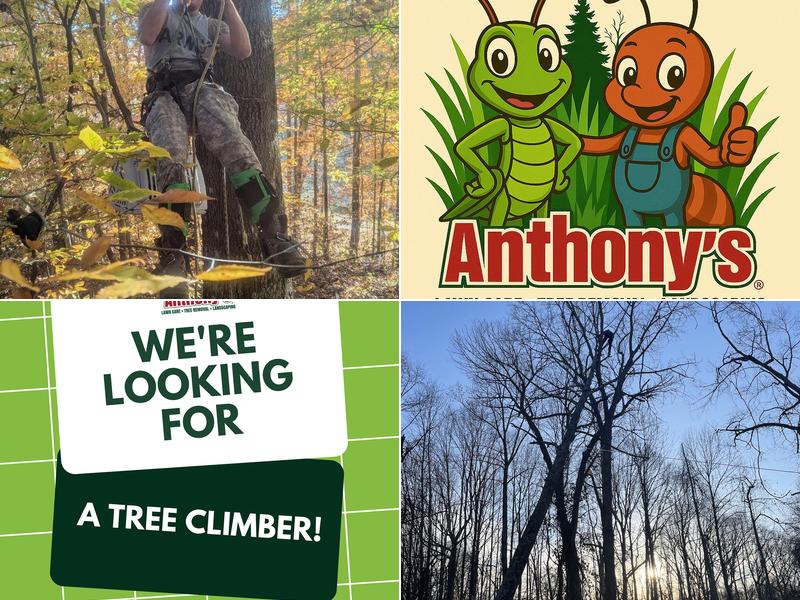 Anthony's Lawn Care and Landscaping