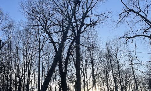 Anthony's Lawn Care and Landscaping 5100 S Rogers St, Bloomington Indiana 47403