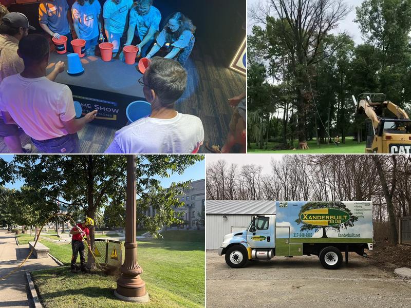 Xanderbuilt Tree Care