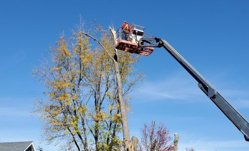 CJ's Tree Service 138 34th Ave SW, Altoona Iowa 50009