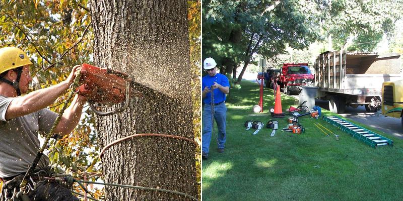 D & D Tree Service Inc