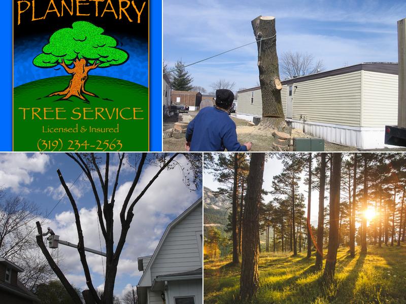 Planetary Tree Service