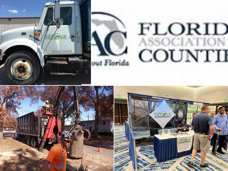 Custom Tree Care Inc