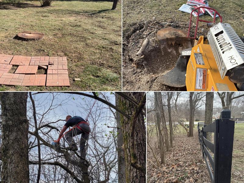 K&G Property Maintenance LLLP tree service