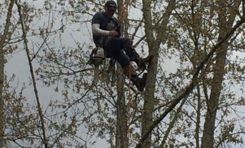 A-1 Nantz & Sons Tree Service